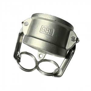 3/4" DN20 DC Tipi 304 Paslanmaz Kamlok – Dişi Kaplin